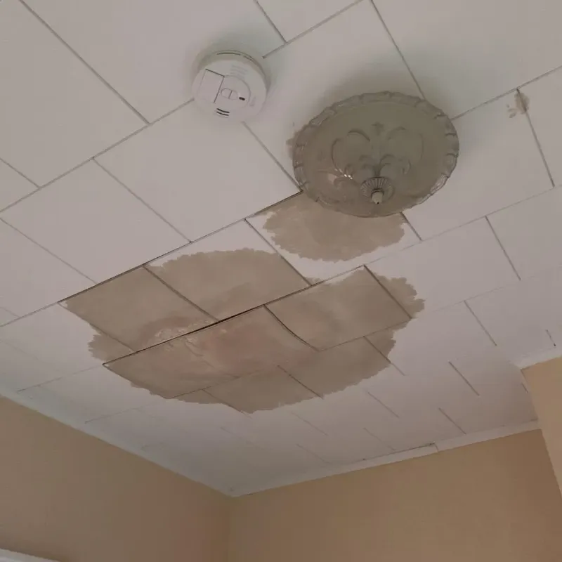 Ceiling Water Damage Repair in Wallenpaupack Lake Estates, PA