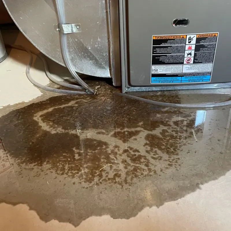 Pipe Burst and Leak Restoration in Wallenpaupack Lake Estates, PA